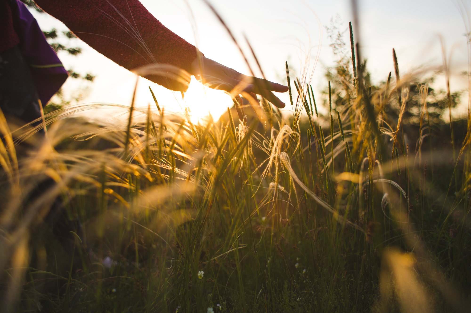 AdobeStock_448362884 AdobeStock_448362884